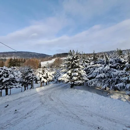 Domek alpejski Dom Nad Potokiem Sowa *