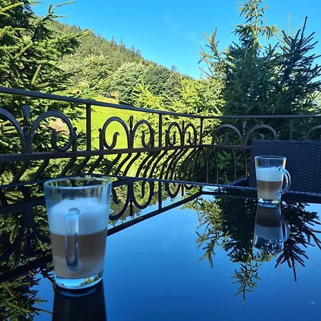 Dom Nad Potokiem Sowa Chalet