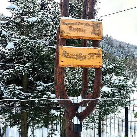 Dom Nad Potokiem Sowa Chalé