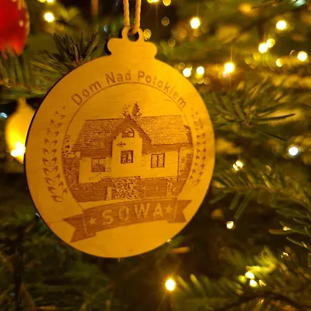 Dom Nad Potokiem Sowa Rzeczka