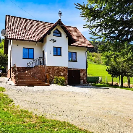 Dom Nad Potokiem Sowa Chalet *