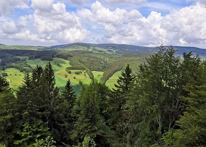 Dom Nad Potokiem Sowa Horská chata