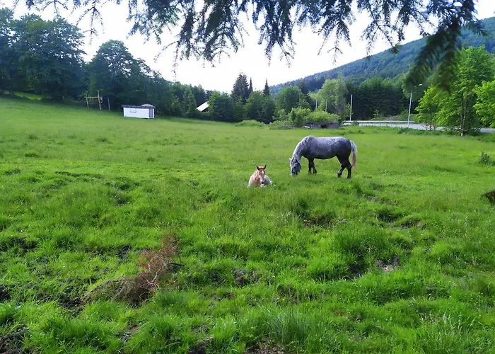 Dom Nad Potokiem Sowa Horská chata