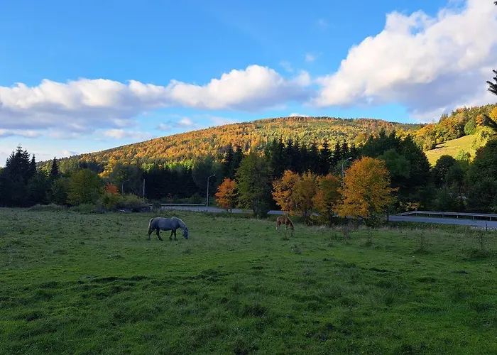 Dom Nad Potokiem Sowa Rzeczka