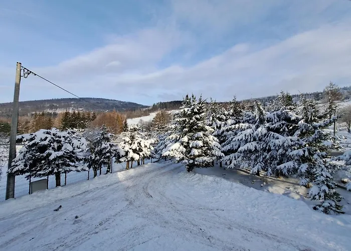 Chalet Dom Nad Potokiem Sowa *