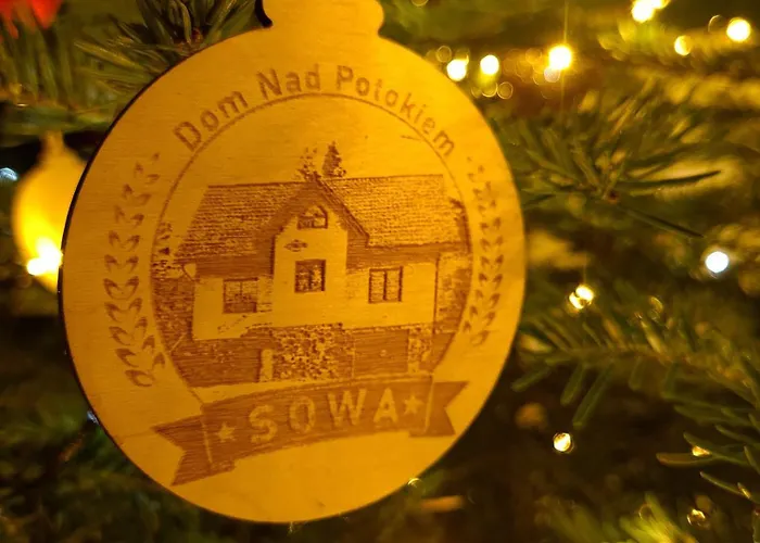 Dom Nad Potokiem Sowa Rzeczka