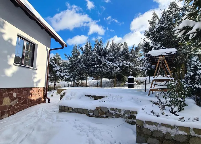 Dom Nad Potokiem Sowa Horská chata