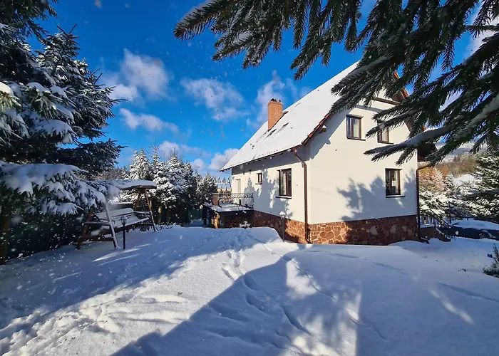 Dom Nad Potokiem Sowa Horská chata